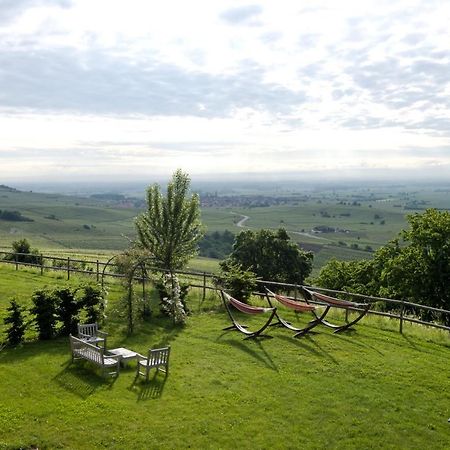 Le Clos Saint-Vincent Ribeauvillé Exteriör bild