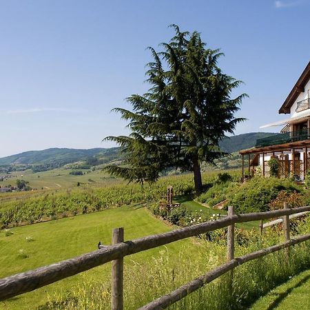 Le Clos Saint-Vincent Ribeauvillé Exteriör bild