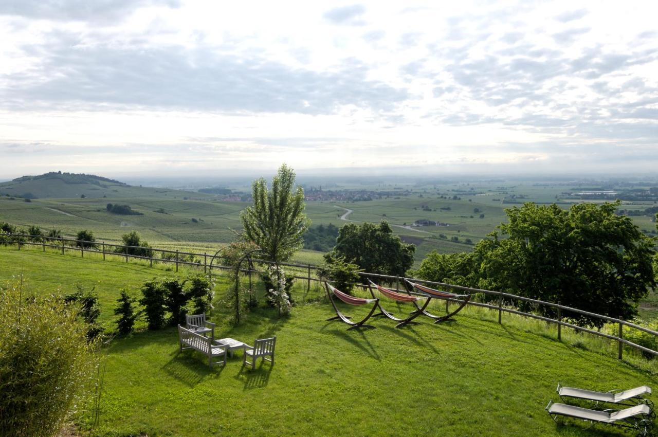 Le Clos Saint-Vincent Ribeauvillé Exteriör bild